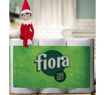 *HIGH VALUE* $2.00 Off Fiora Bath Tissue Coupon