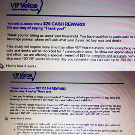 vipvoice-email