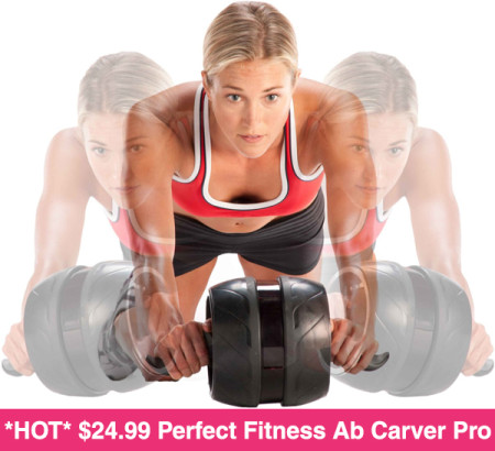 Perfect-Fitness-Ab-Carver-Pro