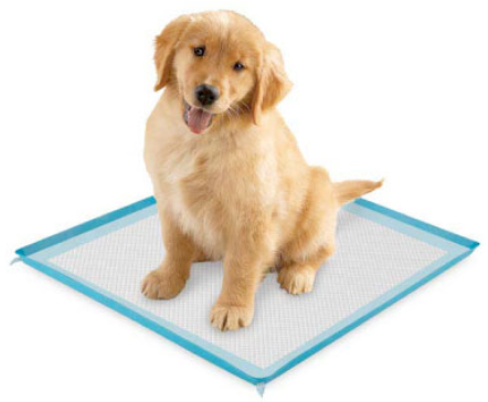 FREE Sample Puppy Pad
