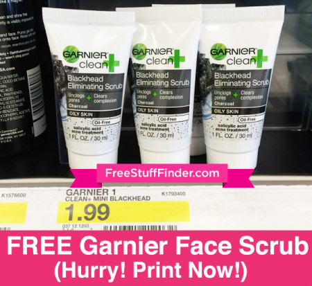 *FREE* Garnier Blackhead Eliminating Scrub at Target