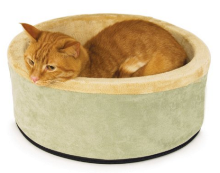 Screen Shot 2016-02-26 at 9.09.55 PM