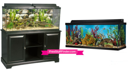 aquarium