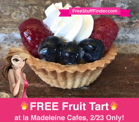 fruit-tart