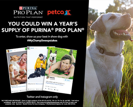 site-purina2