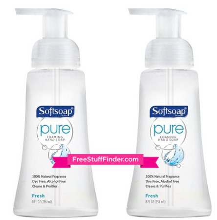 $1.11 (Reg $2.49) Softsoap Pure Hand Soap at Target