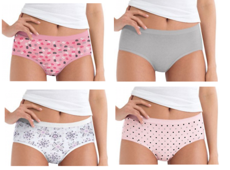 Hanes Women Brief