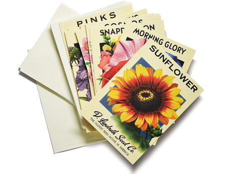 FREE Spring Flowers Seed Pack