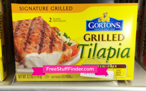 tilapia