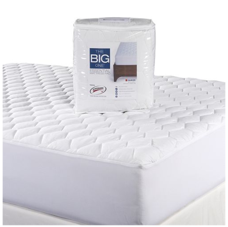 *HOT* $14.42 (Reg $54) Mattress Pad & 2 Pillows + FREE Pickup