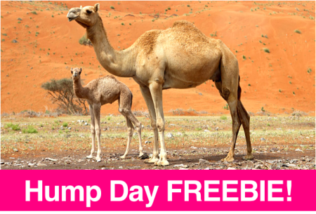 Site-Camel-Freebie