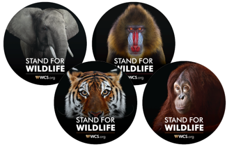 FREE WCS Wild Life Stickers