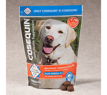 dogtreat