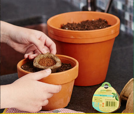 FREE Miracle-Gro Gro-ables 30-Pod Kit
