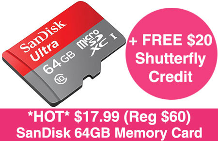 sandisk-memory-card