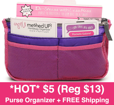 site-hollar-purse-organizer