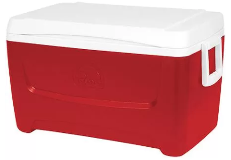 $15.88 Igloo 48-Quart Ice Chest Cooler + FREE Store Pickup