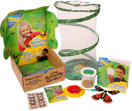 InsectLore_ButterflyGarden