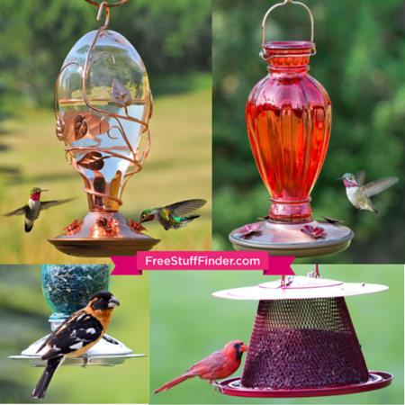 bird-feeders