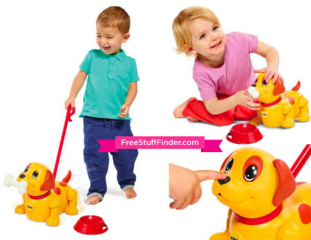 $19.99 (Reg $30) Push & Pull Along Puppy Toy