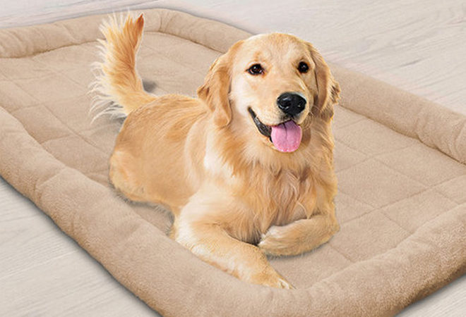 Pet-Bed-SITE
