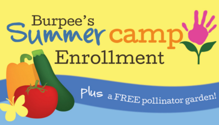 FREE Kids Summer Camp + FREE Garden Seeds