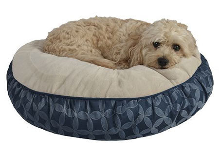 *HOT* $7 (Reg $40) Small and Large Pet Beds + Free Shipping