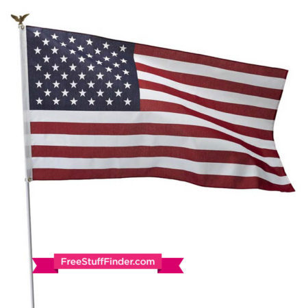 $6.97 (Reg $10) American Flag Kit + Free Store Pickup