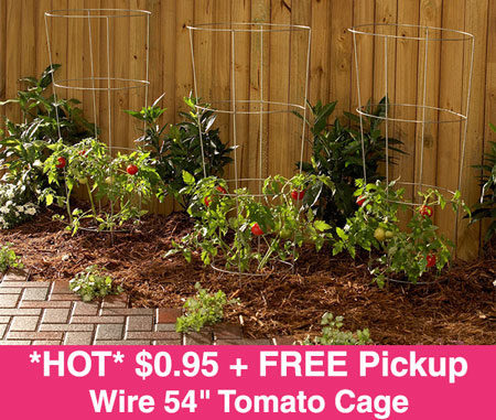 *HOT* $0.95 (Reg $4) Wire Tomato Cage + FREE Pickup