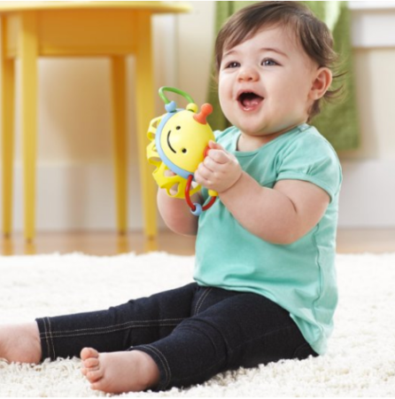 *HOT* FREE Skip Hop Toy (Amazon Baby Registry)