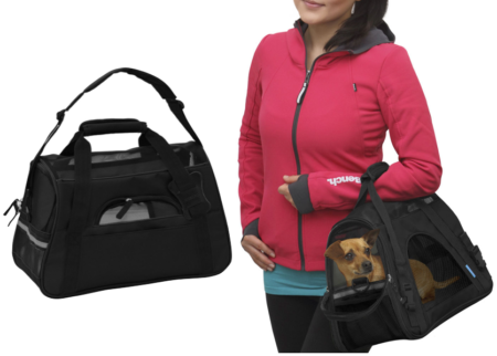 Pet-travel