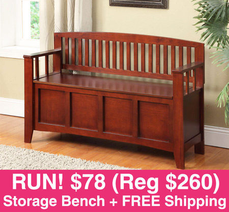 HURRY! $78 (Reg $260) Storage Bench + FREE Shipping