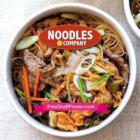 noodles-company copy