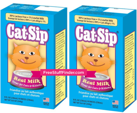 Cat-Sip-Treats