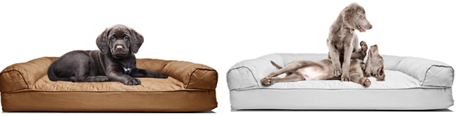 PetBeds