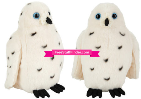 snowy-owl