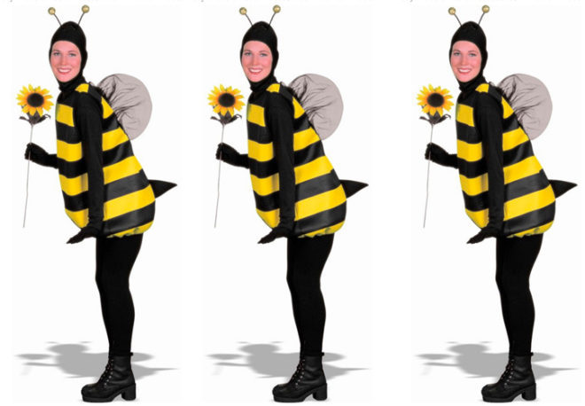 $13.89 (Reg $30) Bumble Bee Costume
