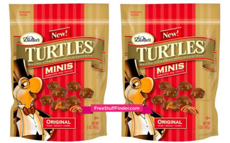 *RARE* $1.00 Off Turtles Minis Product Chocolate Coupon