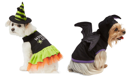 $25.00 Off $75.00 Purchase at PetSmart (Ends Today)
