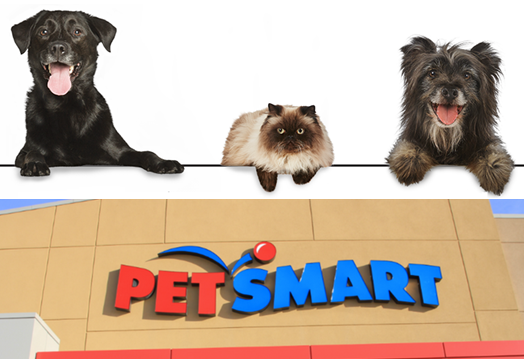 petsmart
