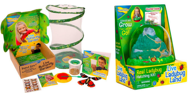 Up to 50% Off STEM Toys (Today Only)