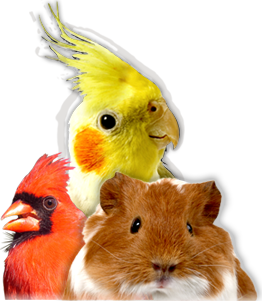 Coupon: Free Bag of Small Pet Food - Kaytee