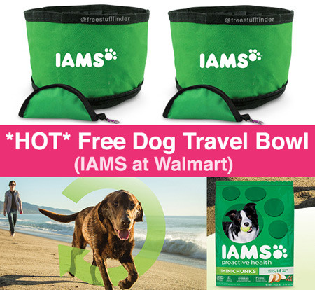 Free-Iams-Dog-Bowl