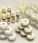 Free Samples of Shankara Skin Products