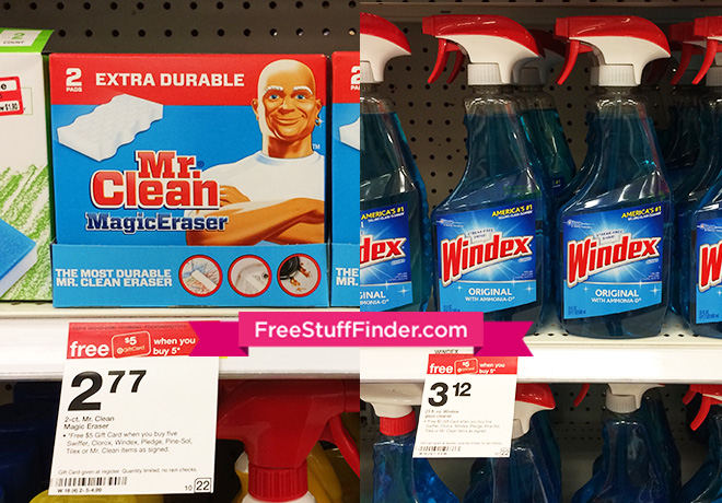mr-clean-windex
