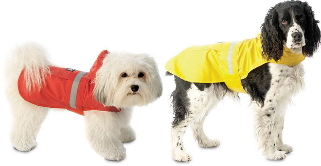 $6.29 (Reg $30) Dog Rain Slicker + FREE Shipping
