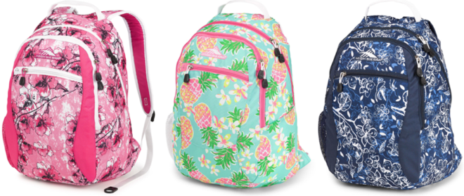 *HOT* $12.49 (Reg $50) High Sierra Backpack