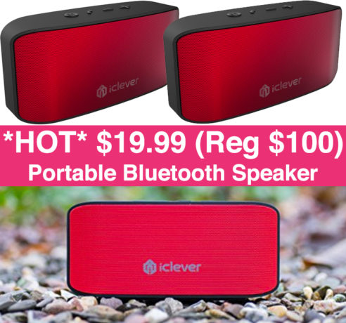 wp-iclever-speaker