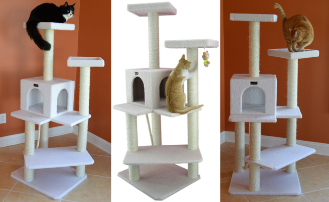 cat-tree