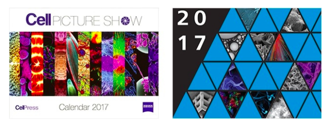 FREE Zeiss 2017 Calendar